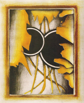 Schwarze Planeten, 2
