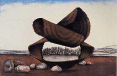 Steinwüste