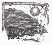 Zerstörter Wald